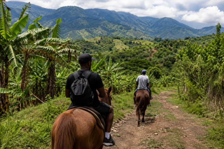 Beyond the Resort Gates — Discovering the Real Jamaica That Most Tourists Never See